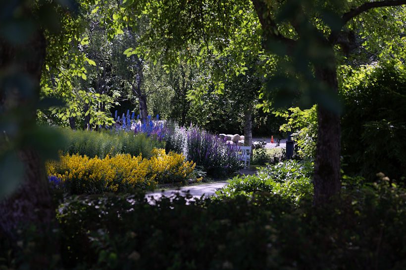 helppohoitoinen puutarha kukkaistutukset