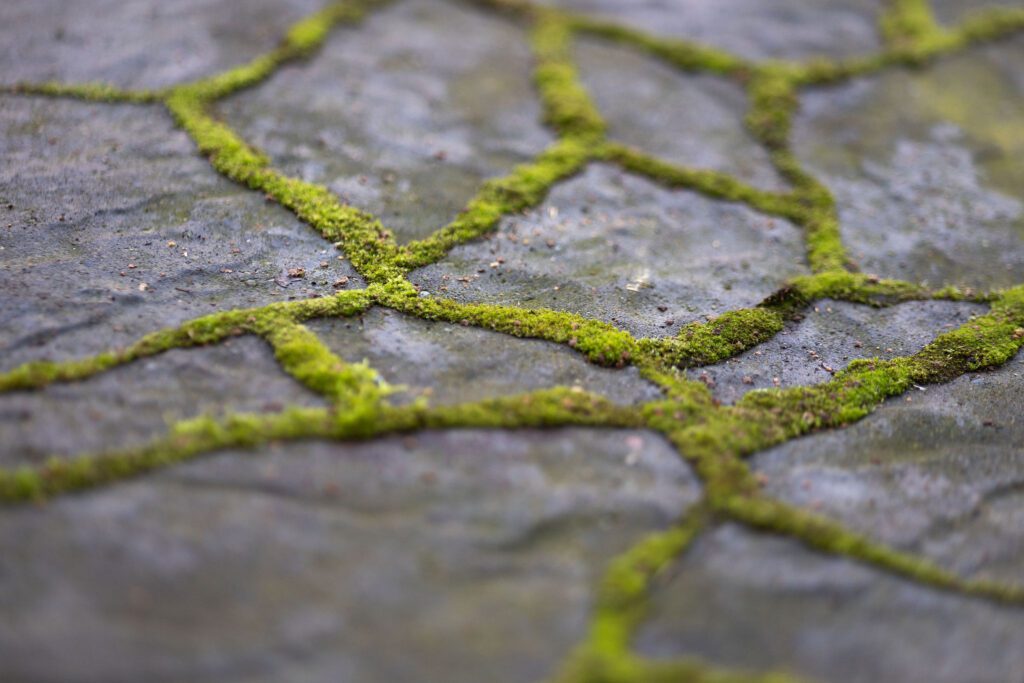 kiveys piharakentaminen ratkaisu