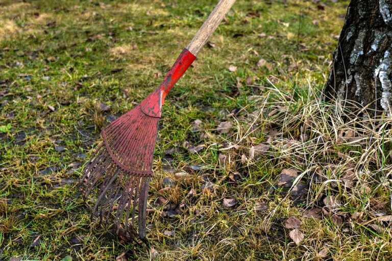 spring, dirt, fallen leaves, rake, nature, village, outdoors, day, cloudy, garden, rake, rake, rake, rake, rake